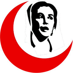 Shaheed Mohtarma Benazir Bhutto Institute Of Trauma